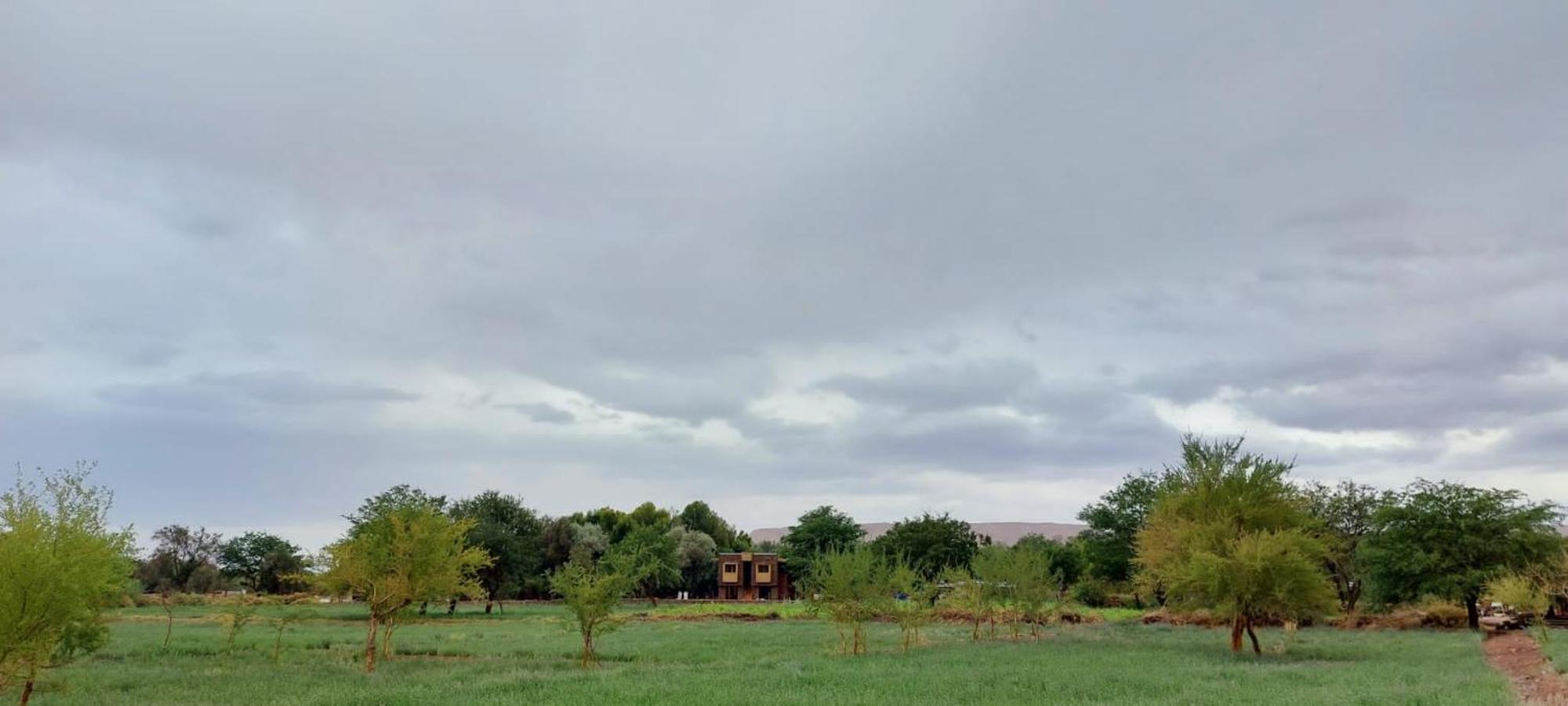 Foresta Atacama Lodge San Pedro de Atacama Ngoại thất bức ảnh