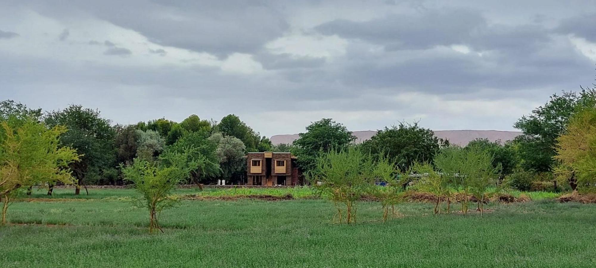 Foresta Atacama Lodge San Pedro de Atacama Ngoại thất bức ảnh