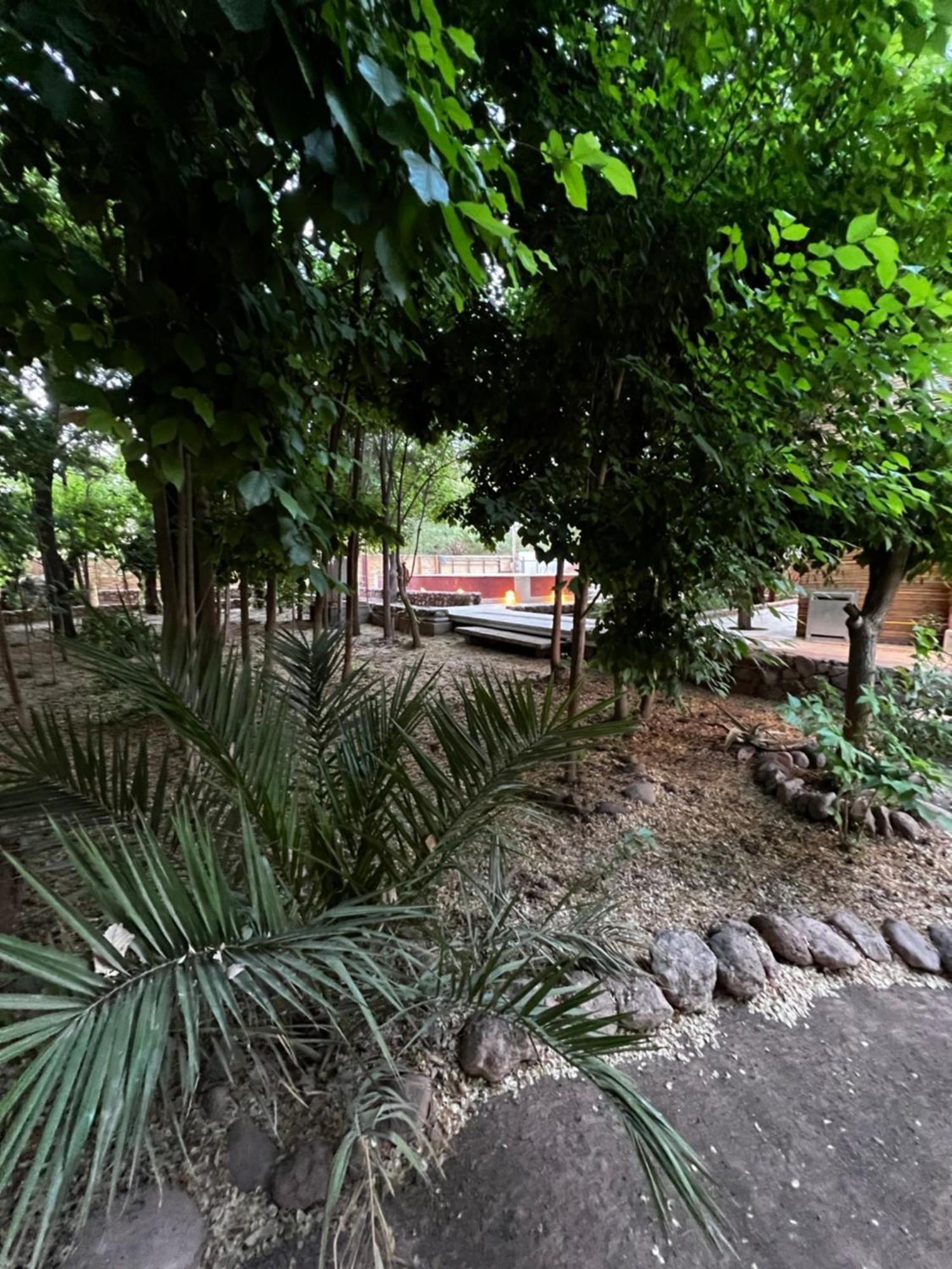 Foresta Atacama Lodge San Pedro de Atacama Ngoại thất bức ảnh
