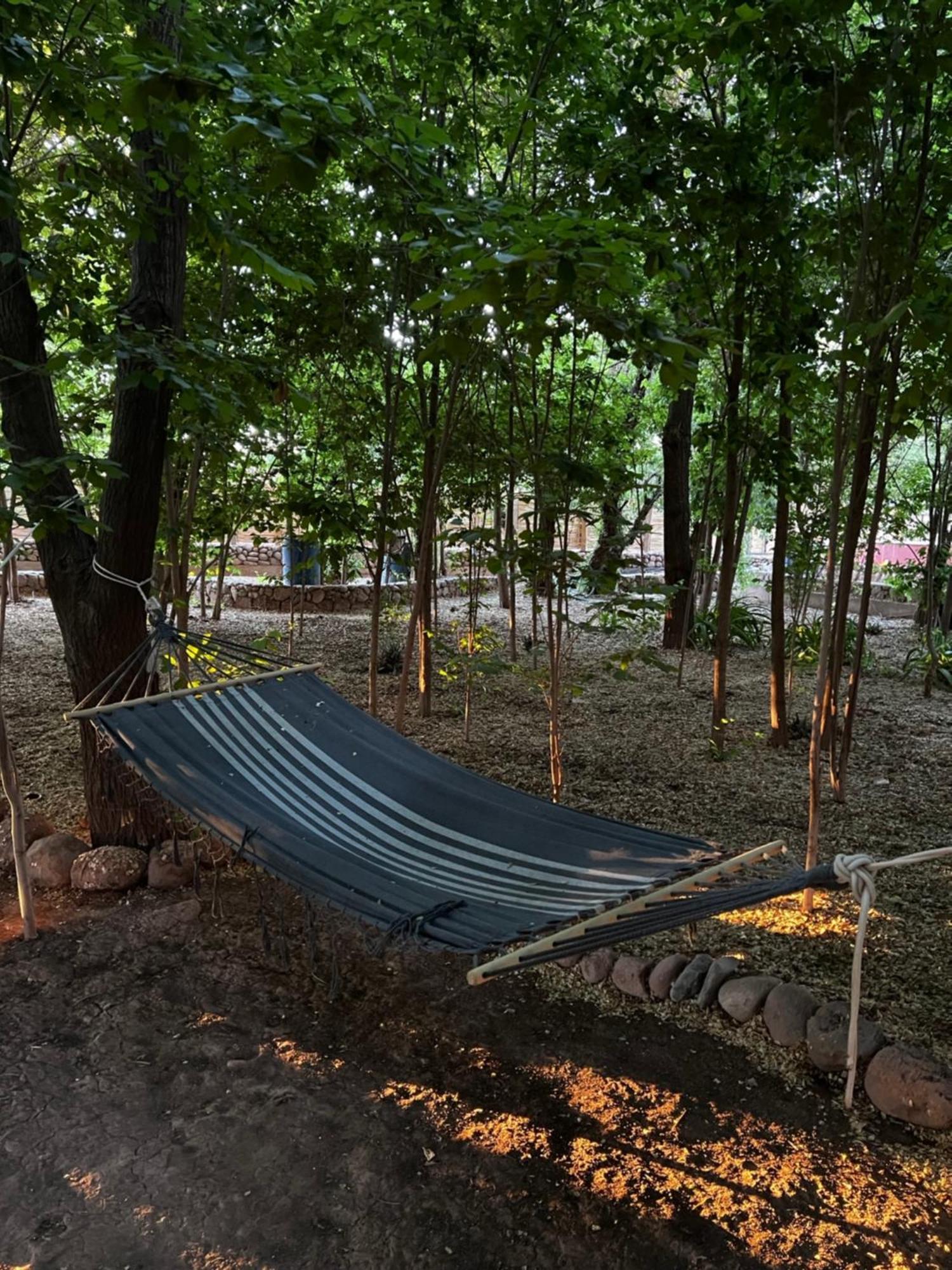 Foresta Atacama Lodge San Pedro de Atacama Ngoại thất bức ảnh