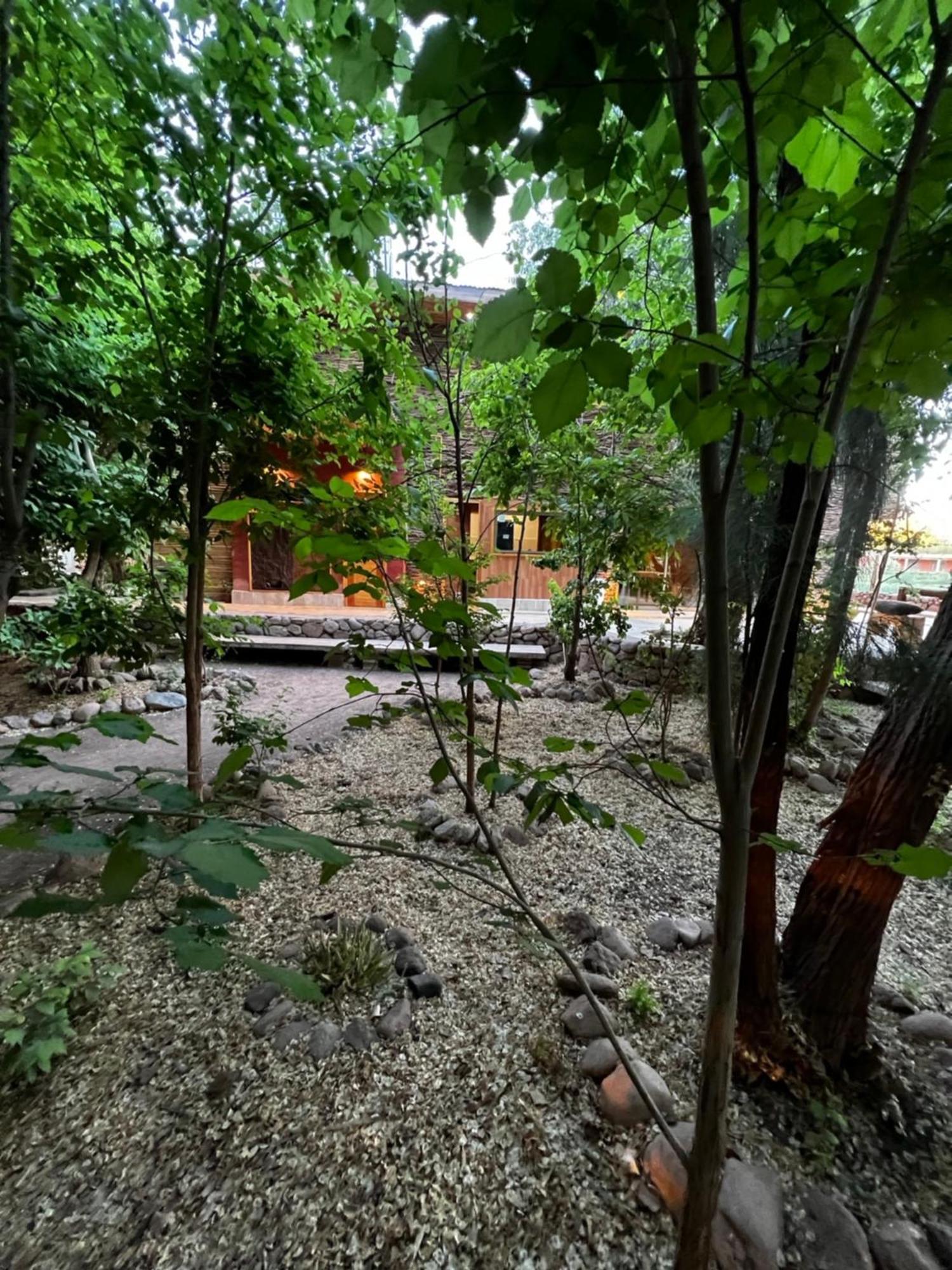 Foresta Atacama Lodge San Pedro de Atacama Ngoại thất bức ảnh